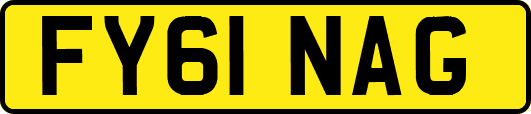 FY61NAG