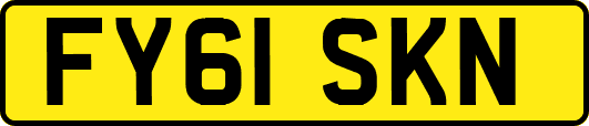 FY61SKN