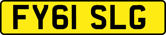 FY61SLG