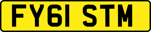 FY61STM