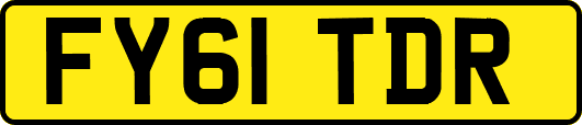 FY61TDR