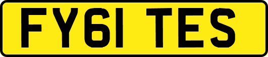 FY61TES