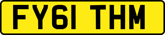 FY61THM