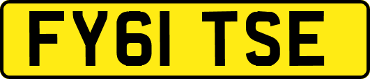 FY61TSE