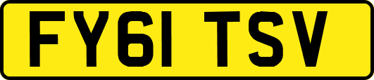 FY61TSV