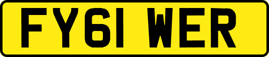 FY61WER