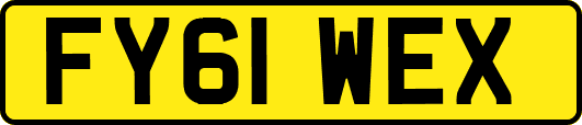 FY61WEX