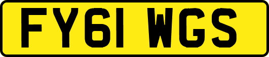 FY61WGS