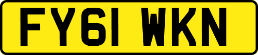 FY61WKN