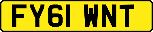 FY61WNT