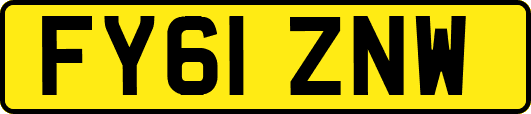 FY61ZNW