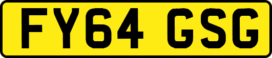 FY64GSG