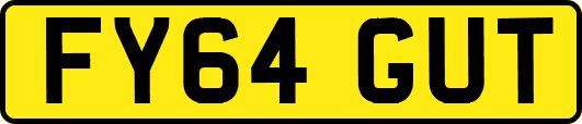 FY64GUT