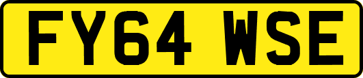 FY64WSE