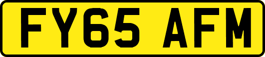 FY65AFM