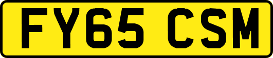 FY65CSM