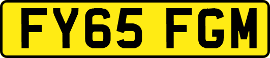 FY65FGM