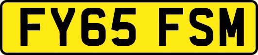 FY65FSM