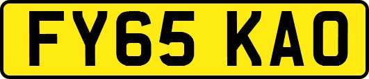 FY65KAO