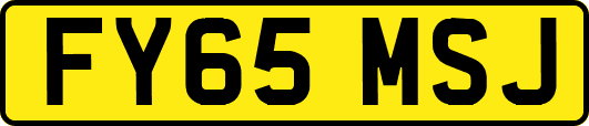 FY65MSJ