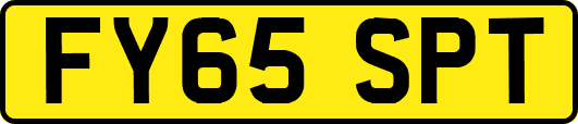 FY65SPT