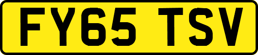 FY65TSV