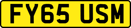 FY65USM