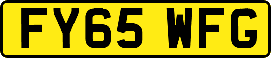 FY65WFG