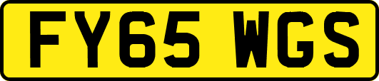 FY65WGS