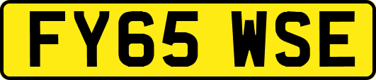 FY65WSE