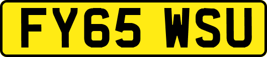 FY65WSU