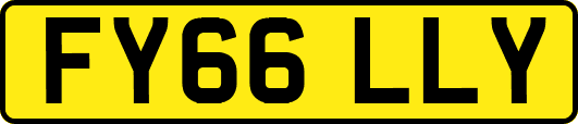 FY66LLY