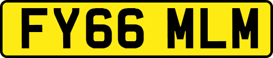 FY66MLM