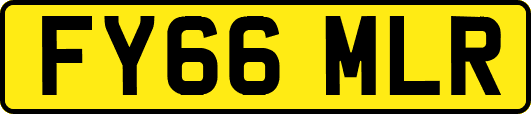 FY66MLR