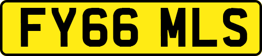 FY66MLS