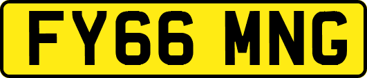 FY66MNG