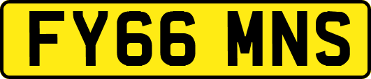 FY66MNS