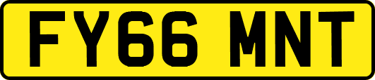 FY66MNT