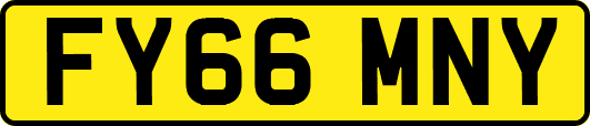 FY66MNY