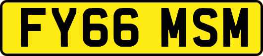 FY66MSM