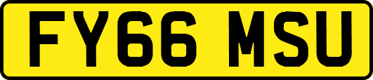 FY66MSU
