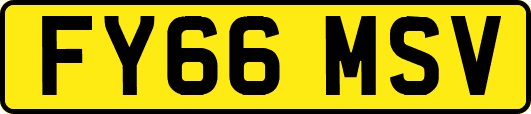 FY66MSV
