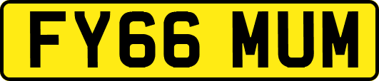FY66MUM