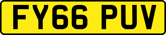 FY66PUV