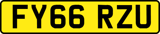 FY66RZU
