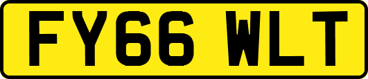 FY66WLT