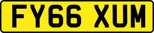 FY66XUM
