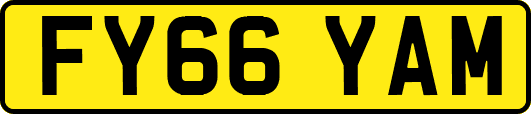 FY66YAM