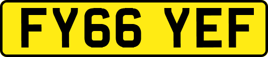 FY66YEF