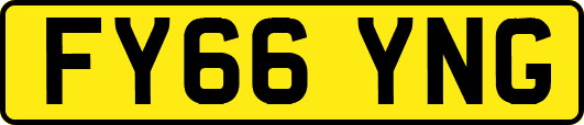 FY66YNG